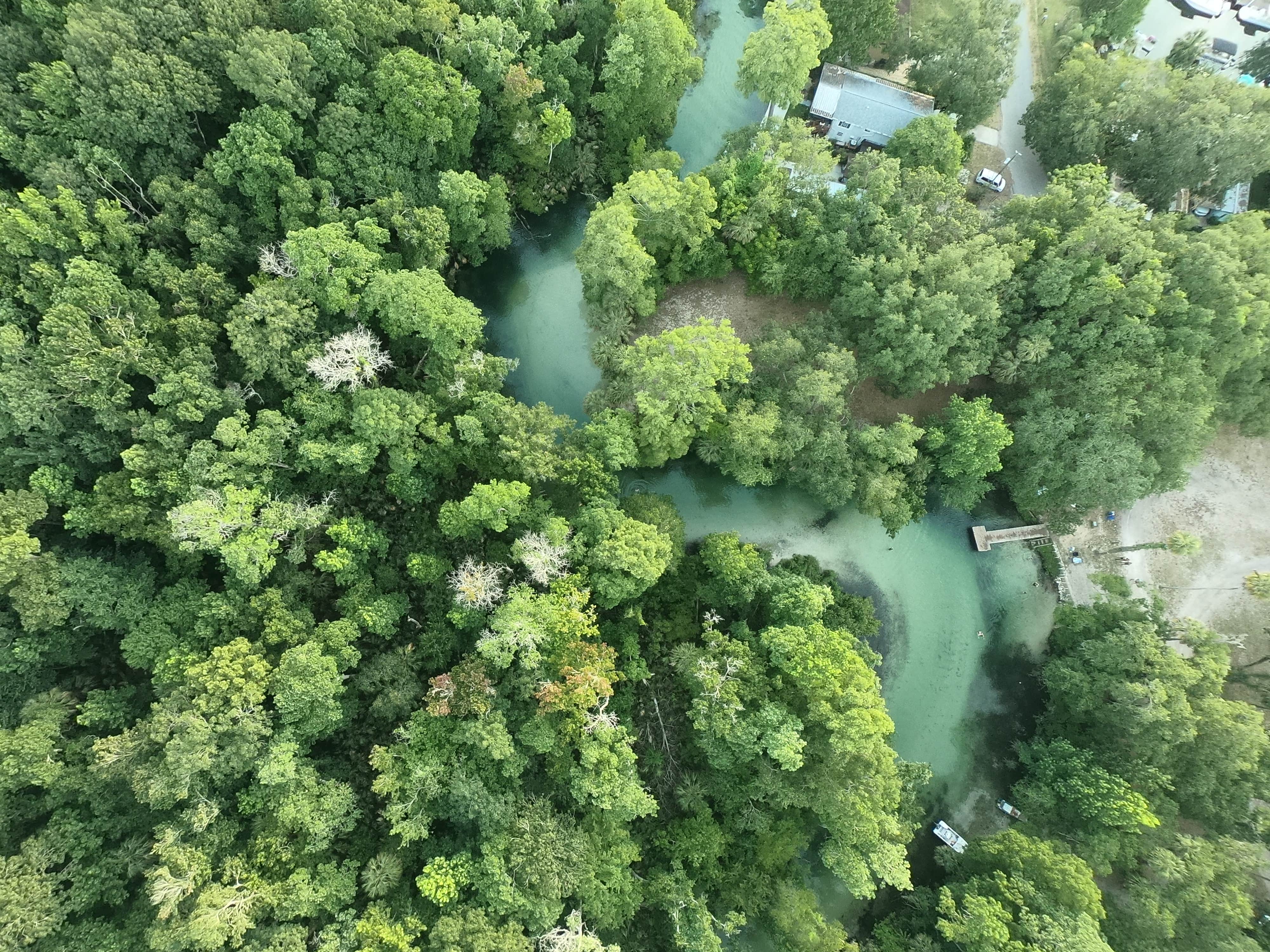 Camper-submitted photo at Weeki Wachee Christian Camp near Weeki Wachee, FL