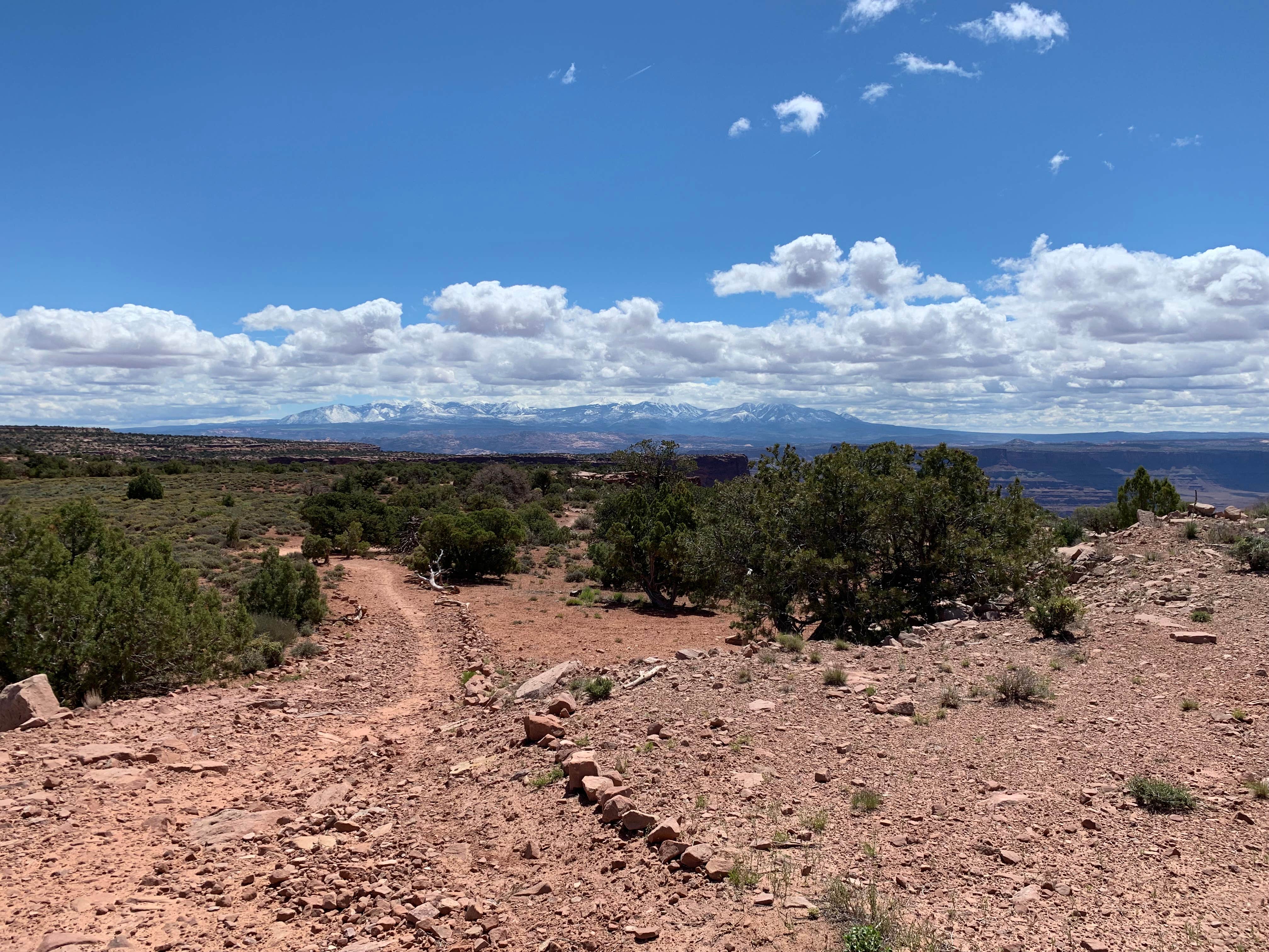 Camper submitted image from Kolob Terrace Road Dispersed - 3