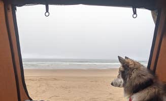 Tylere Y.'s photo of camping with pets at North Beach Campground — Pismo State Beach near Santa Maria, CA