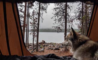 Tylere Y.'s photo of camping with pets at Fourmile Lake Campground near Prospect, OR