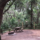 Review photo of Atlantic Beach Campground — Fort Clinch State Park by Jenn B., June 9, 2019