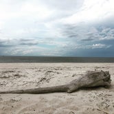 Review photo of Atlantic Beach Campground — Fort Clinch State Park by Jenn B., June 9, 2019
