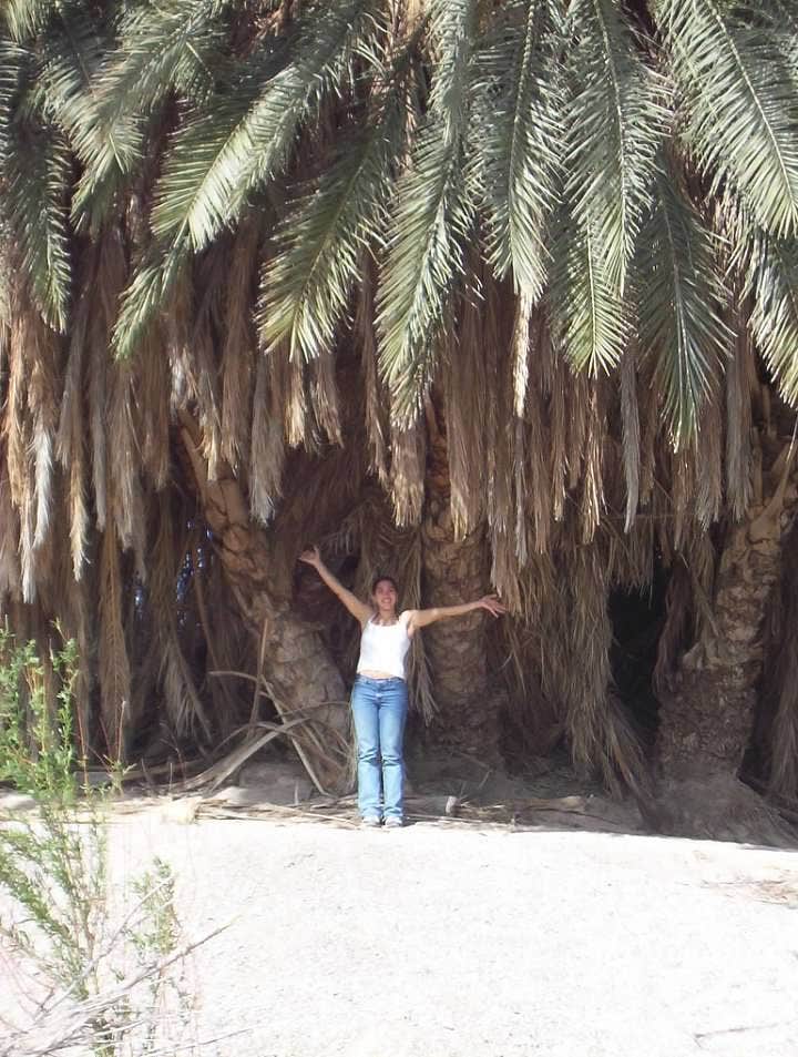 Camper-submitted photo at Rio Grande Village Campground — Big Bend National Park near Big Bend National Park