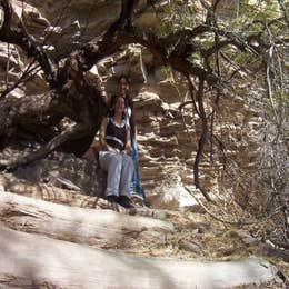 Rio Grande Village Campground — Big Bend National Park