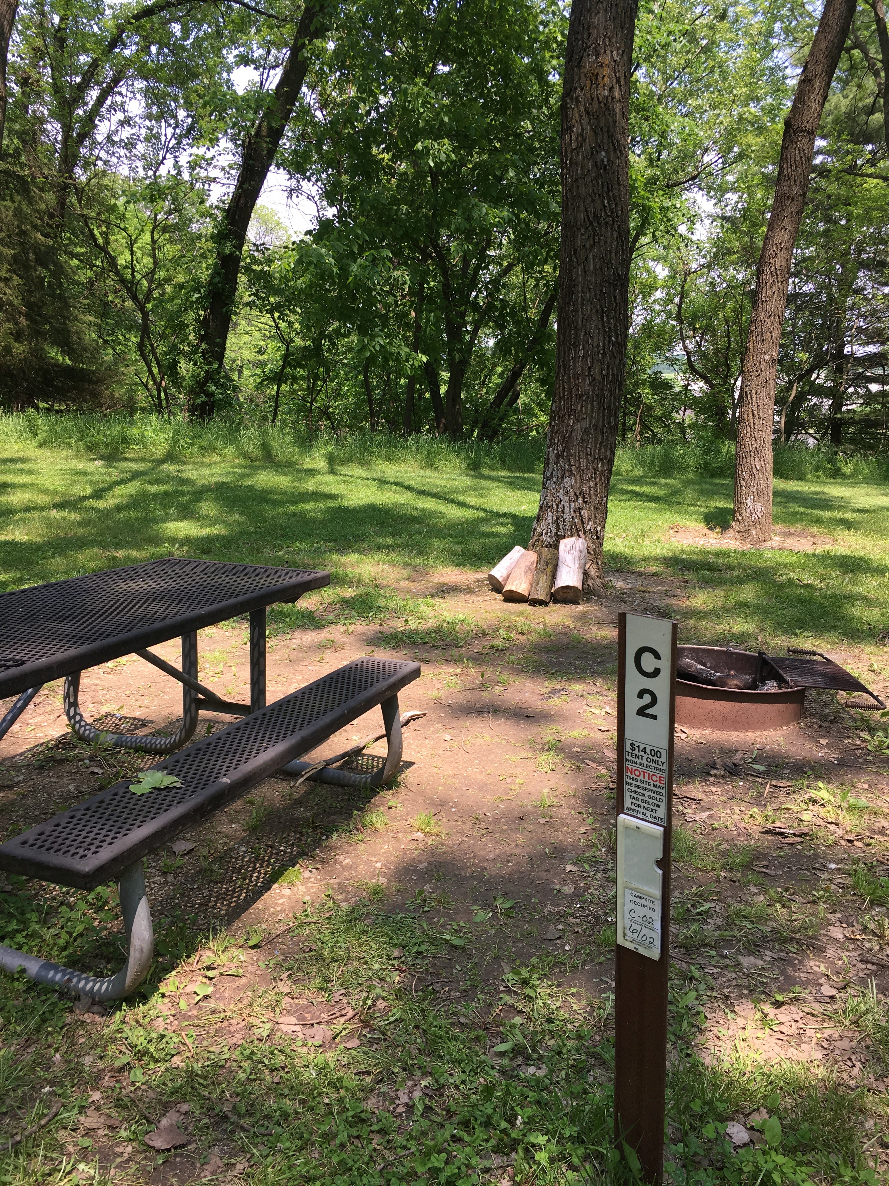 Camper submitted image from Cottonwood Campground/Coralville Lake (COE) - 3