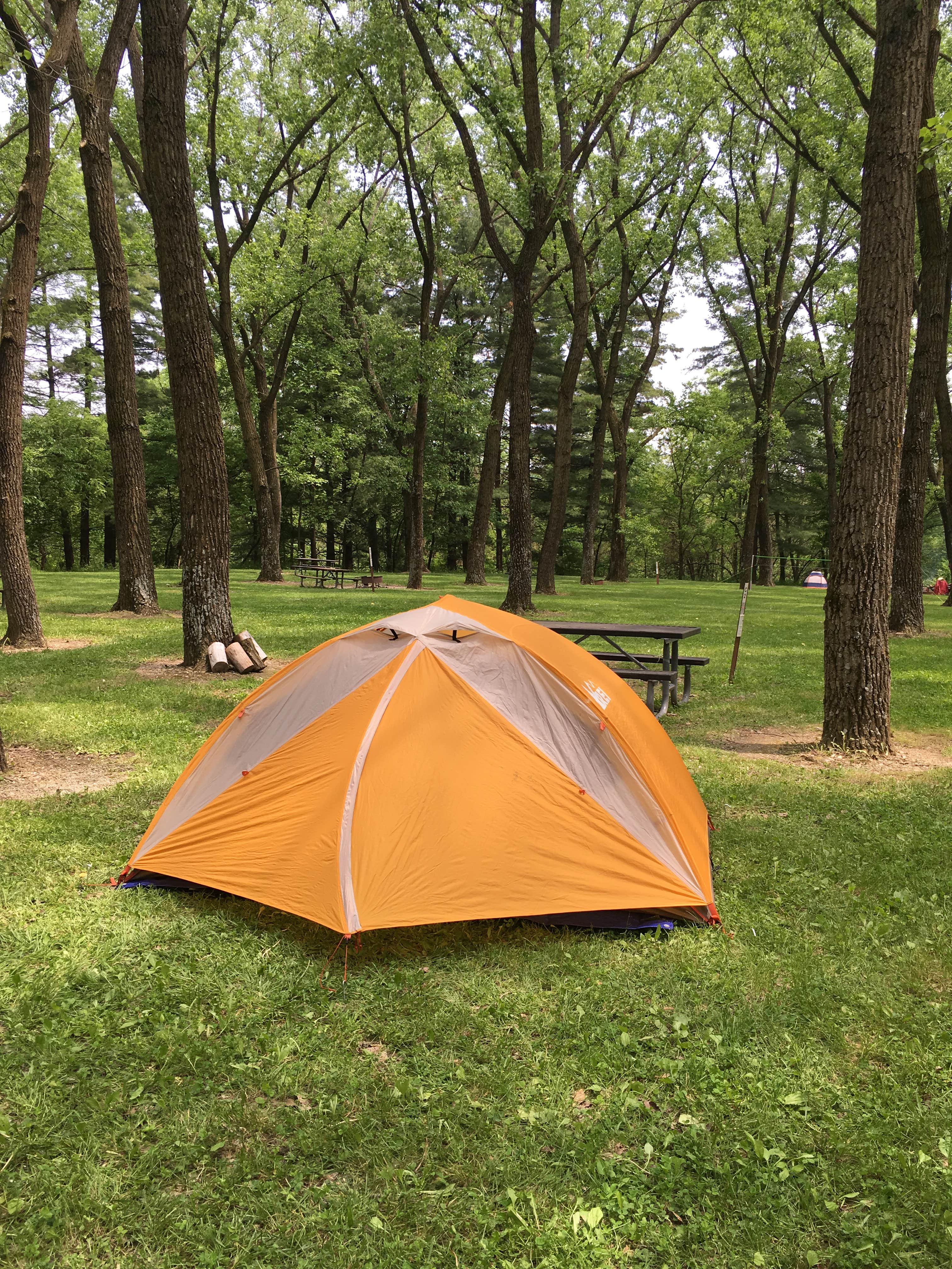 Camper submitted image from Cottonwood Campground/Coralville Lake (COE) - 2