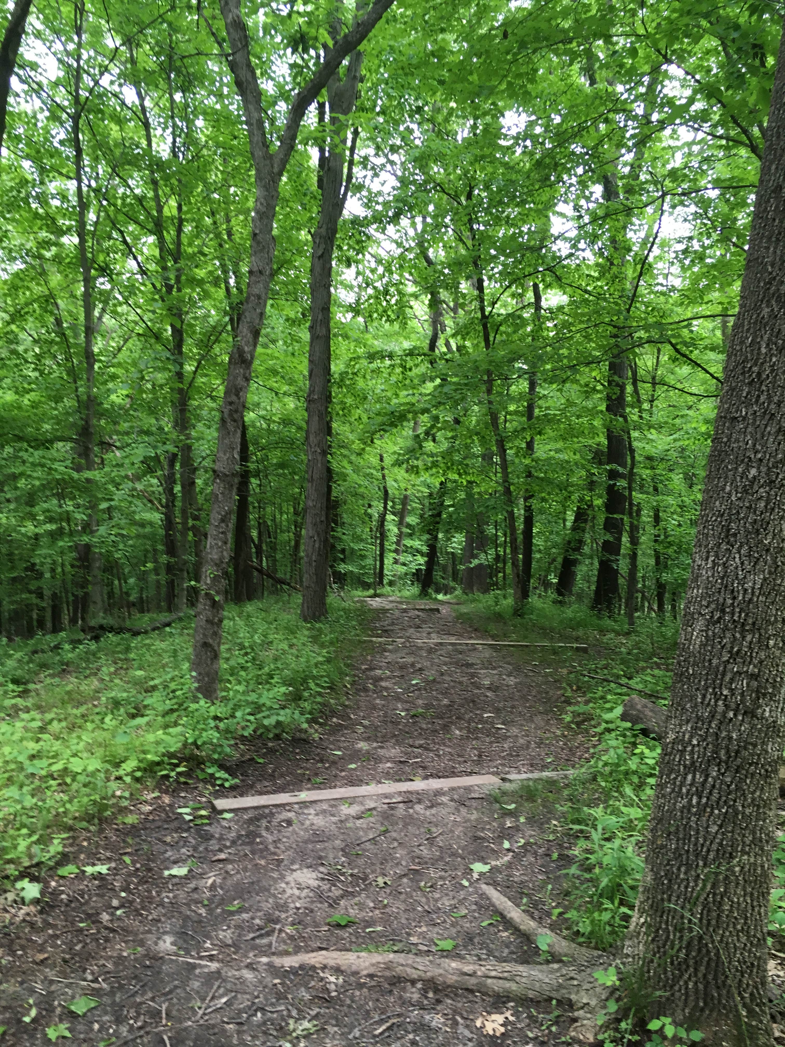 Great hiking trails