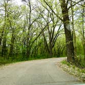 Review photo of Oak Ridge Campground — Sibley State Park by Janet R., June 9, 2019