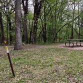 Review photo of Oak Ridge Campground — Sibley State Park by Janet R., June 9, 2019