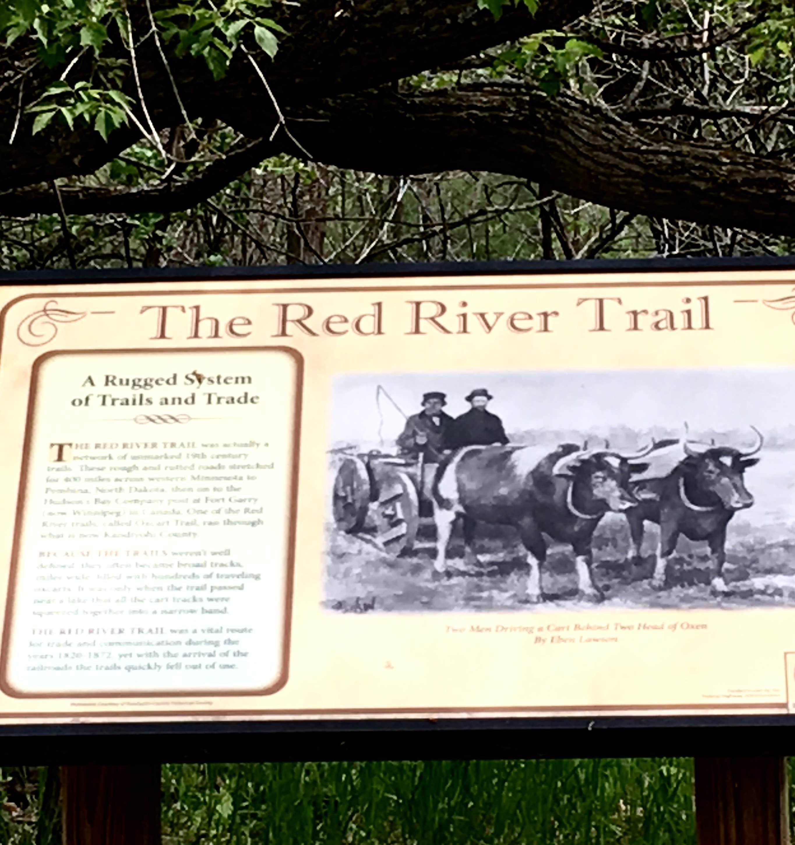 Janet R.'s photo of camping with a horse at Oak Ridge Campground — Sibley State Park near New London, MN