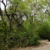 Review photo of Oak Ridge Campground — Sibley State Park by Janet R., June 9, 2019