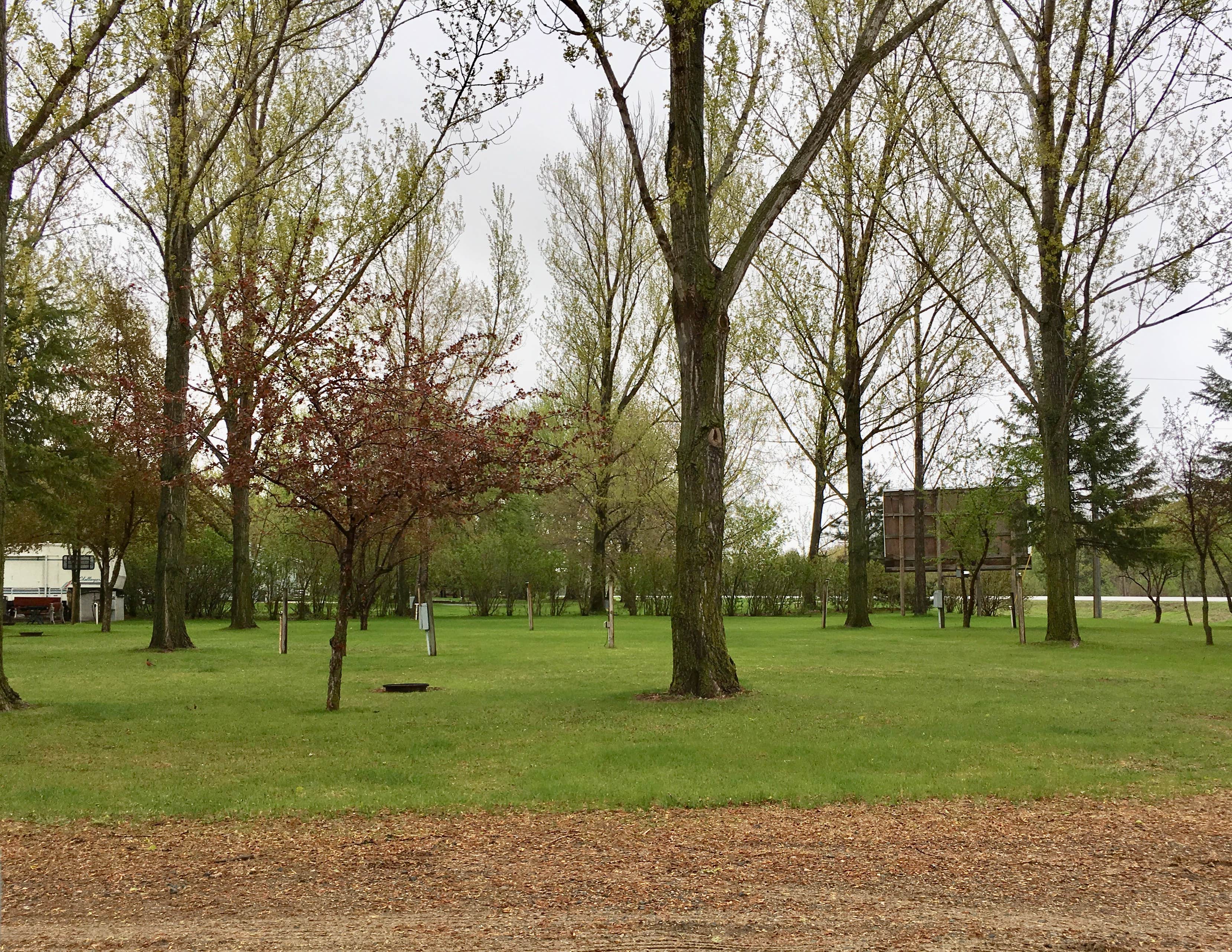 Camper submitted image from Camp S'more Campground - 3