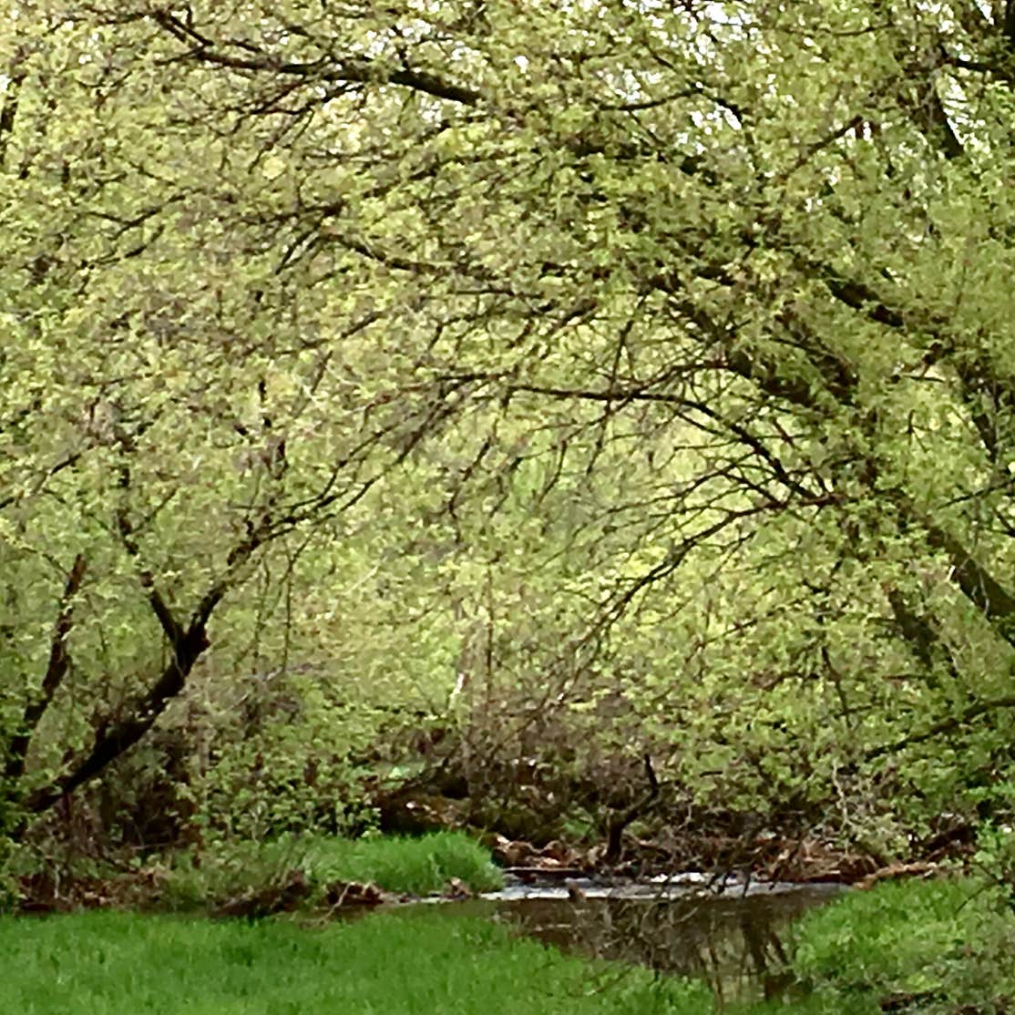 Clarissa City Park Camping Clarissa, MN