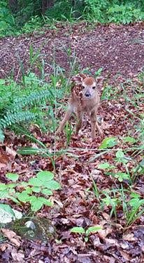 Camper-submitted photo at Prairie Dog Campground — Prairie Dog State Park near Kirwin, KS