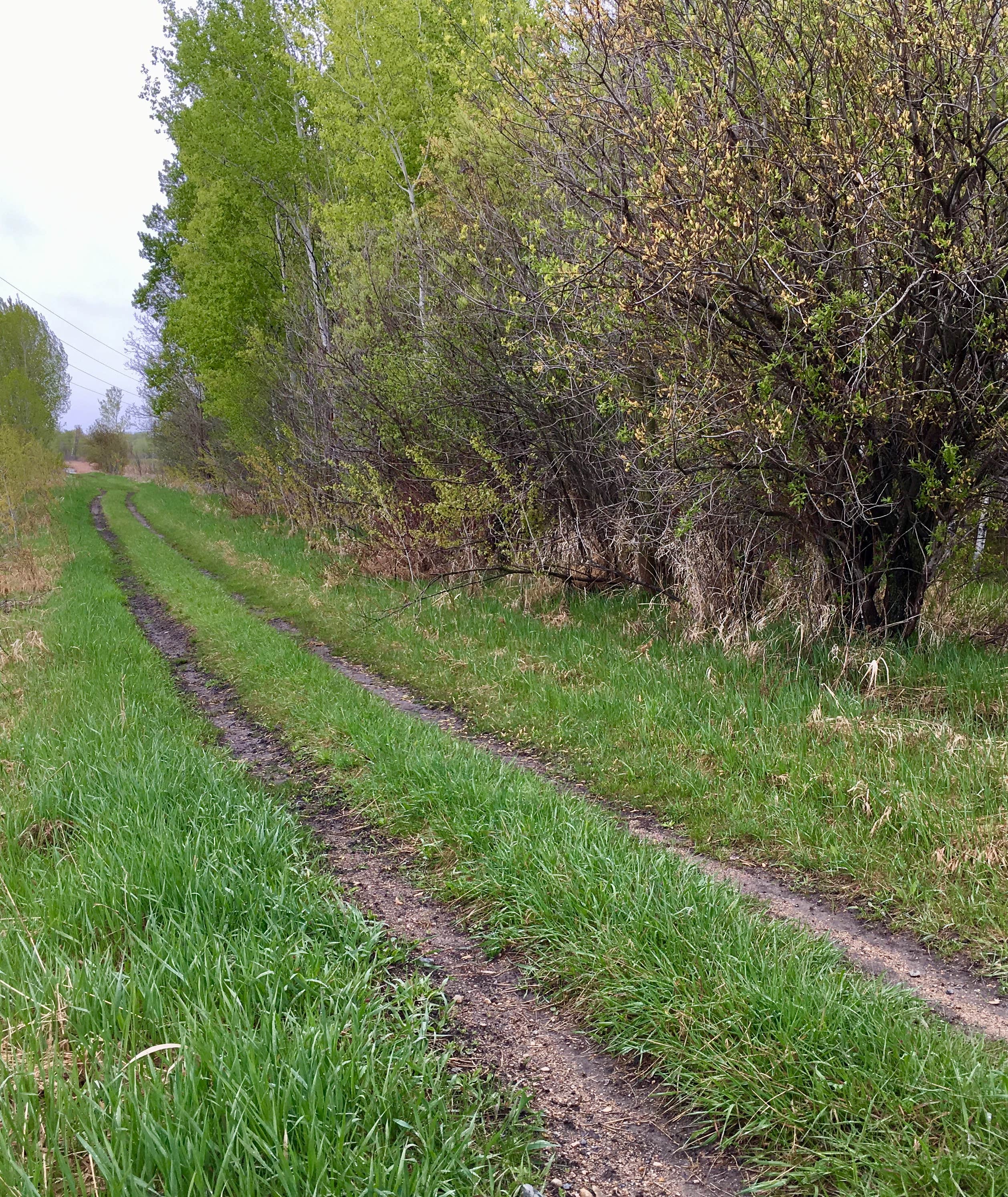 Camper-submitted photo at Bertha City Park near Wadena, MN
