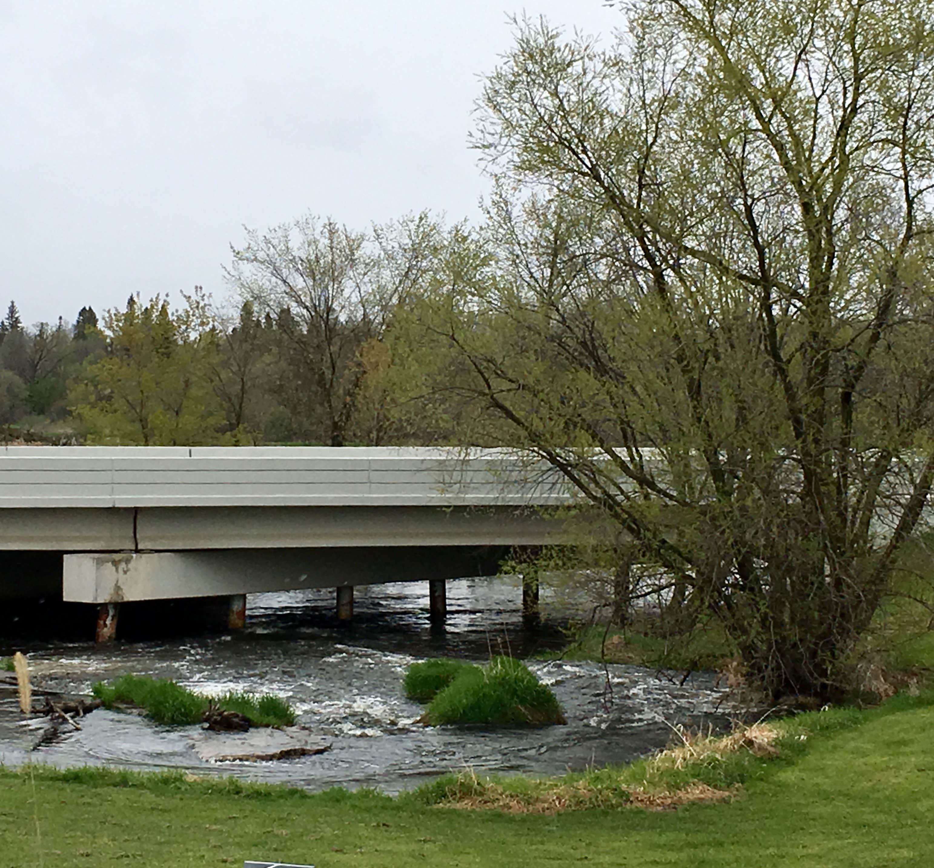 Camper-submitted photo at Bertha City Park near Wadena, MN