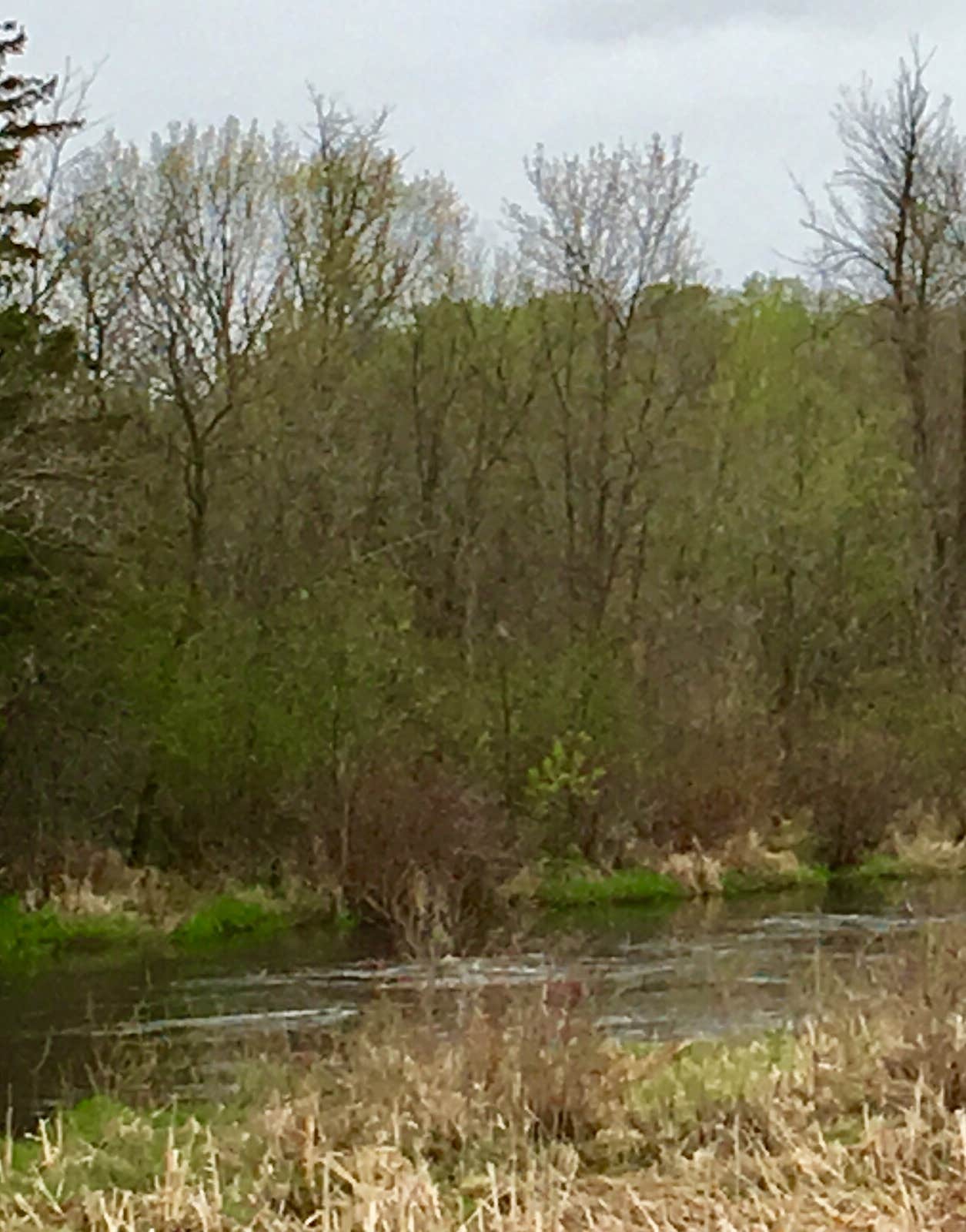 Camper-submitted photo at Bertha City Park near Wadena, MN