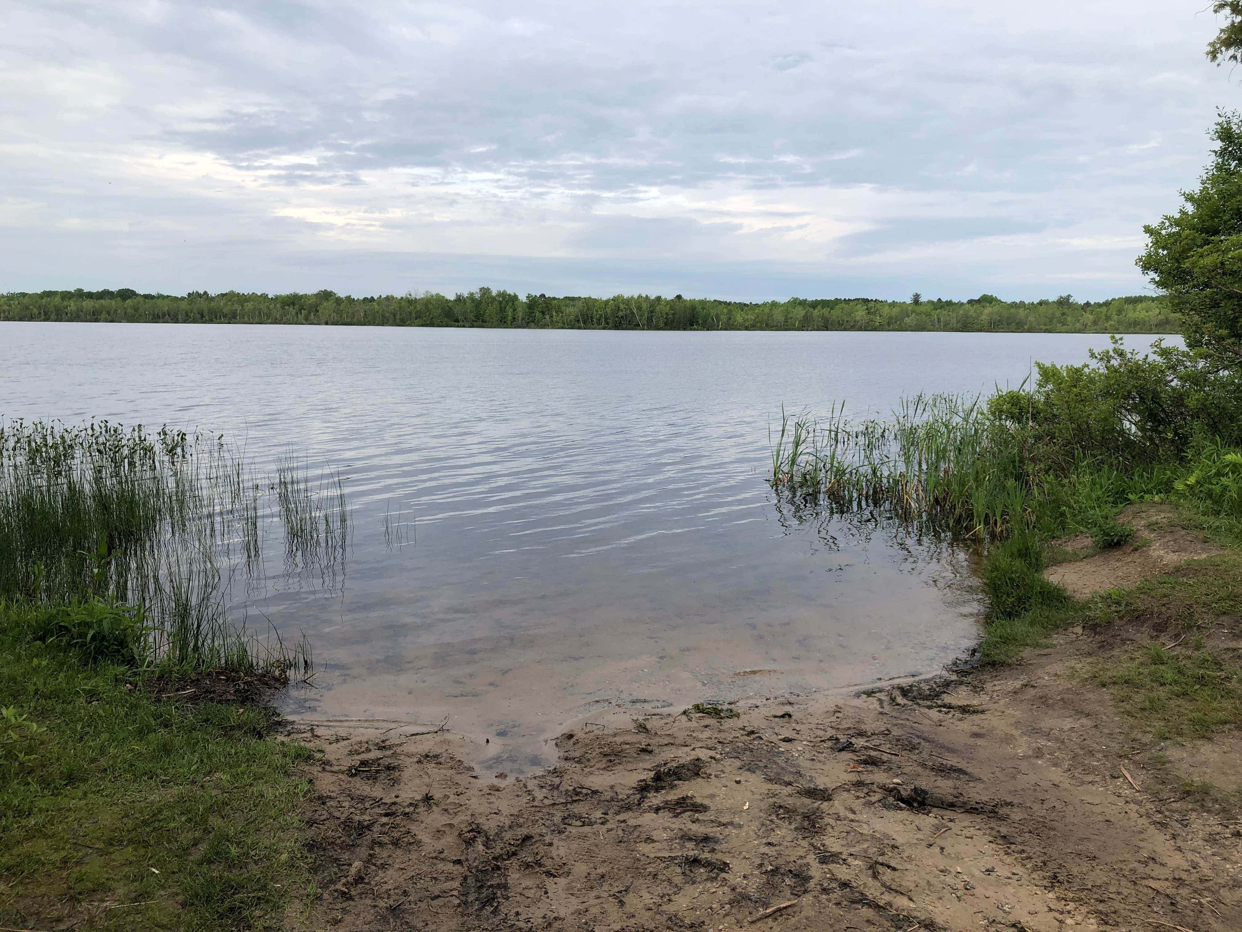 Camper submitted image from Mud Lake State Forest Campground - 5