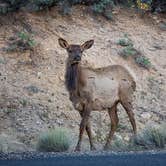 Review photo of Mather Campground — Grand Canyon National Park by Meg  S., September 1, 2015