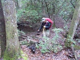 Camper-submitted photo at Savage Falls Campground — Savage Gulf State Park near Signal Mountain, TN