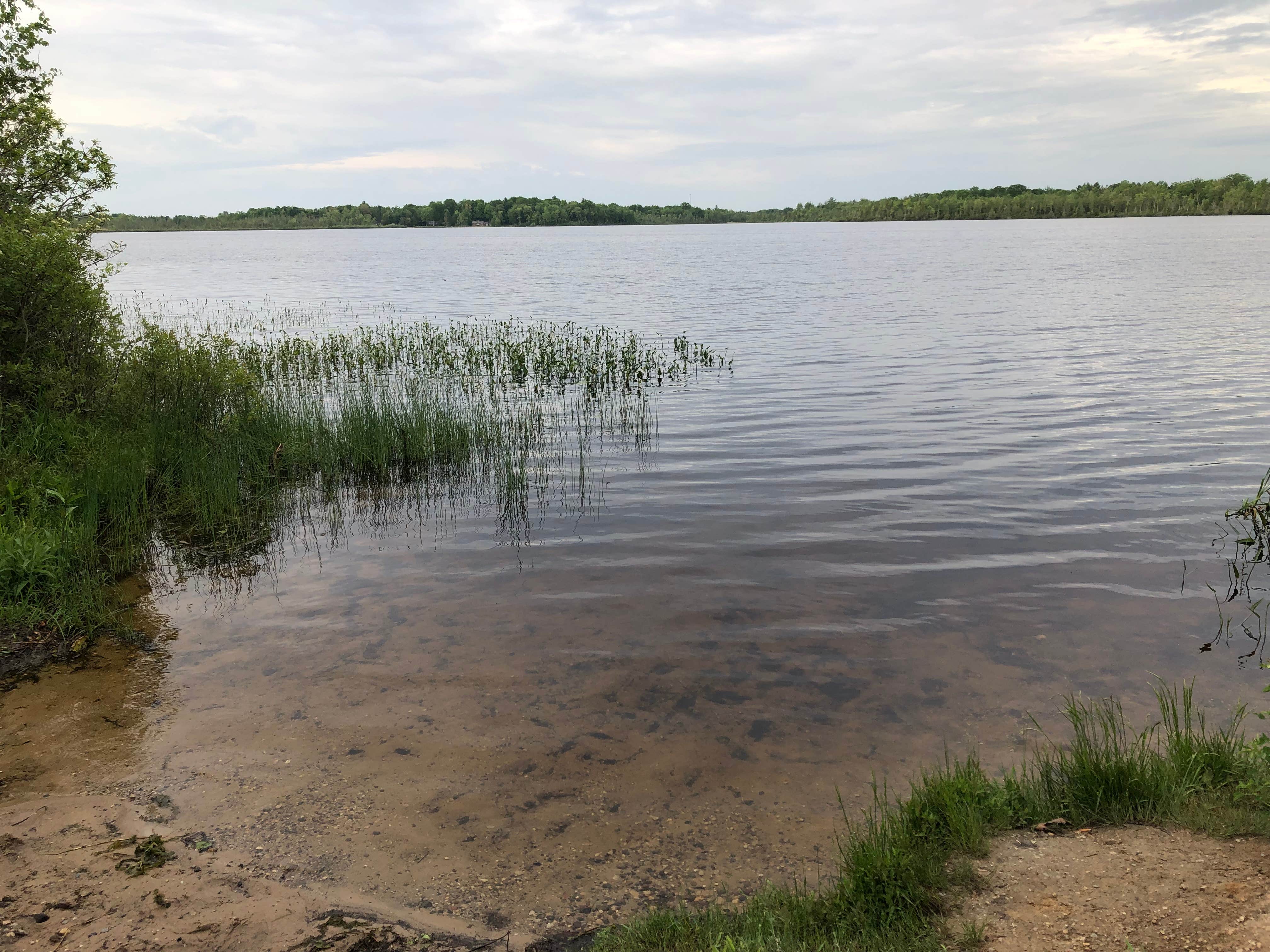 Camper submitted image from Mud Lake State Forest Campground - 2