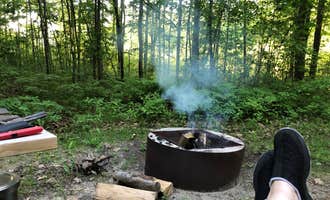 Camping near River Country Campground and Livery: Mud Lake SF Campground, Lake, Michigan