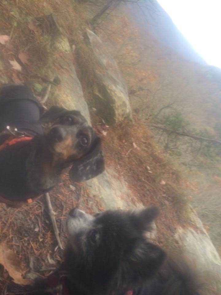 Camper-submitted photo at Savage Falls Campground — Savage Gulf State Park near Signal Mountain, TN