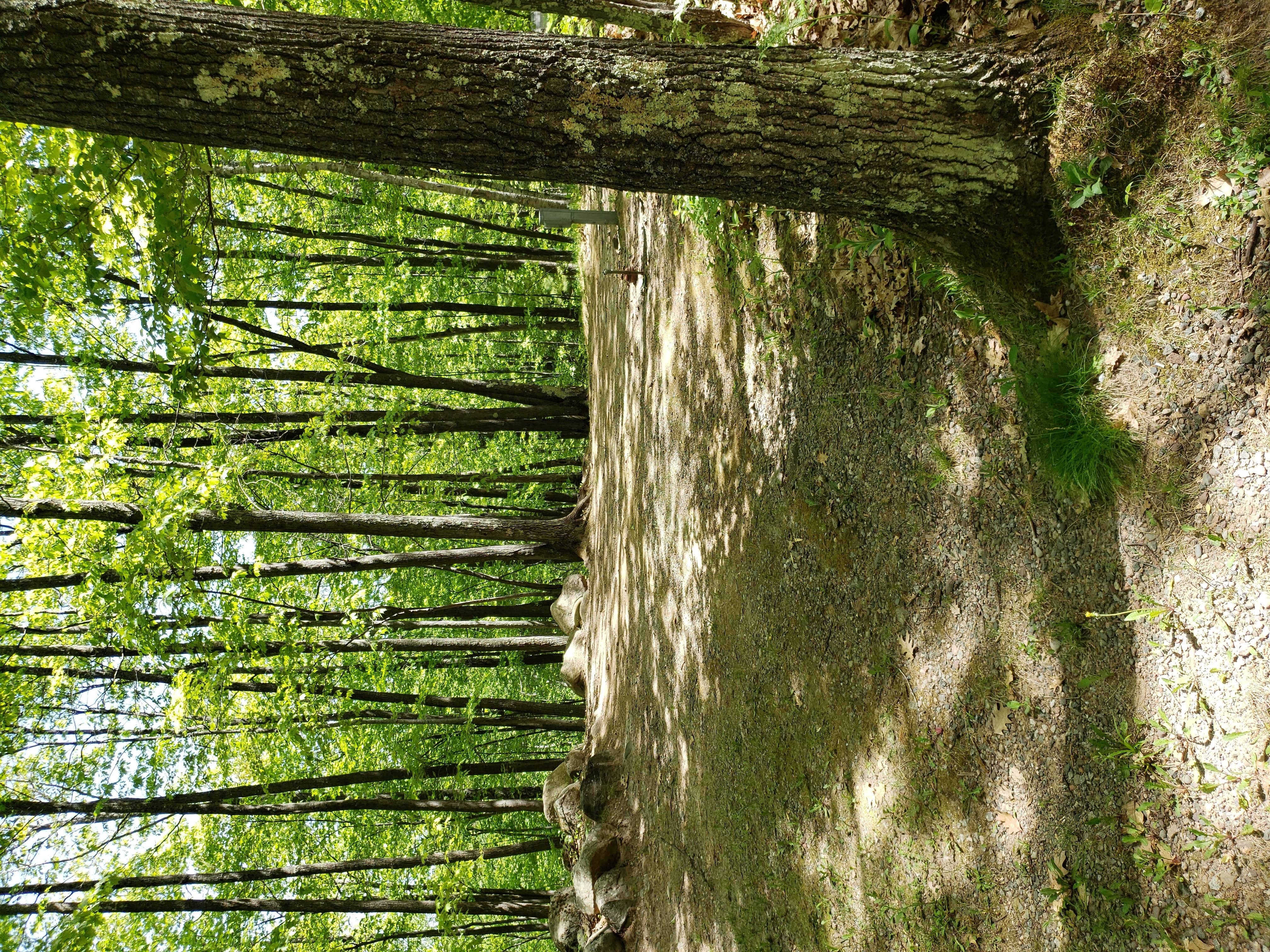 Camper-submitted photo at West Bay Camping Resort near Irma, WI
