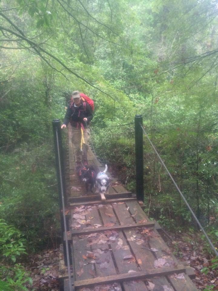 Camper-submitted photo at Savage Falls Campground — Savage Gulf State Park near Gruetli-Laager, TN