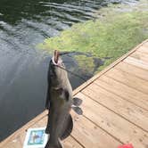 Review photo of Weldon Springs State Park Campground by Steve  H., June 9, 2019