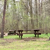 Review photo of Frames Landing Campsite by Janet R., June 9, 2019