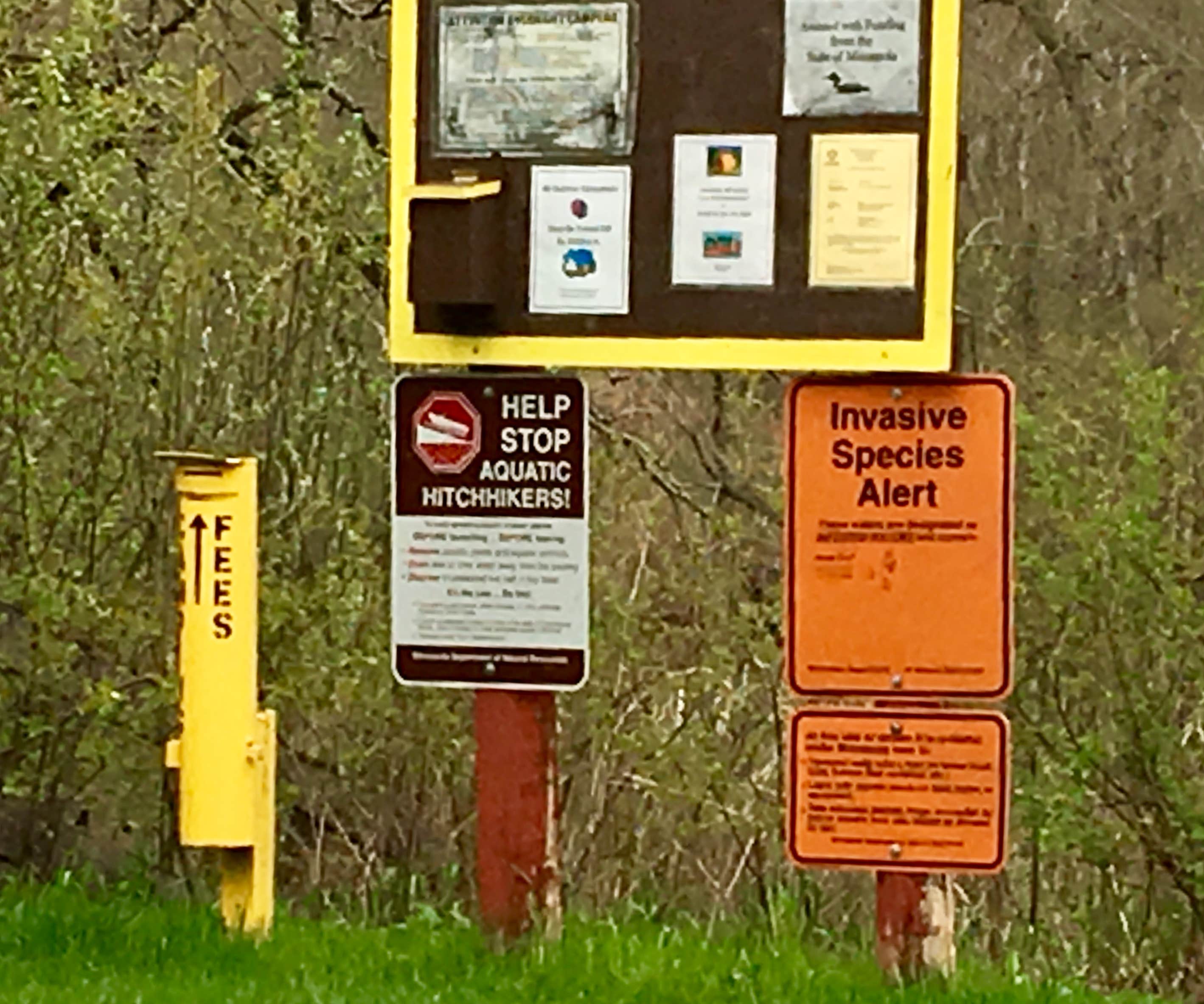 Camper-submitted photo at Frames Landing Campsite near Park Rapids, MN