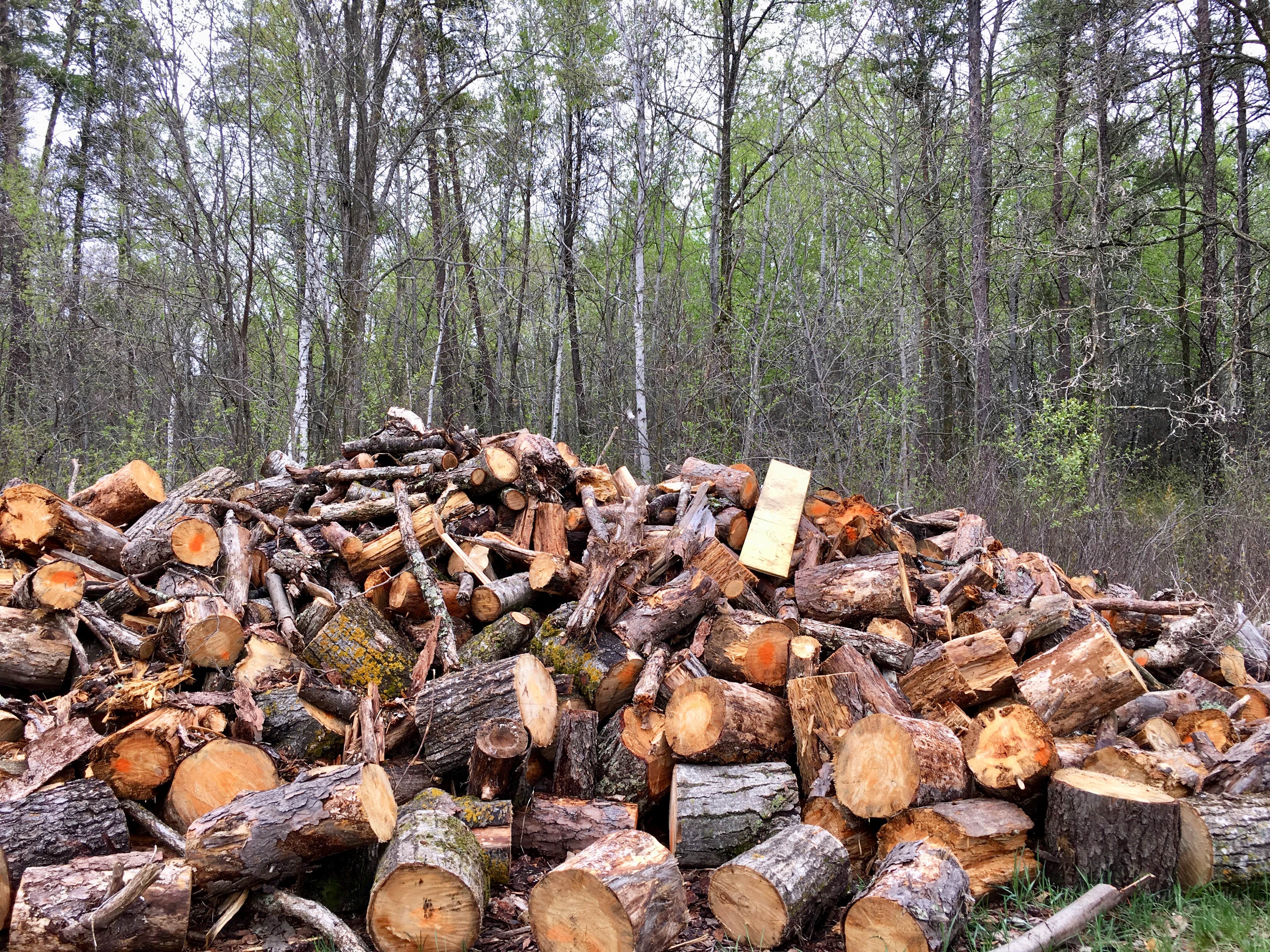 Camping near Bullard Bluff Campsite: Frames Landing Campsite, Horton, Minnesota