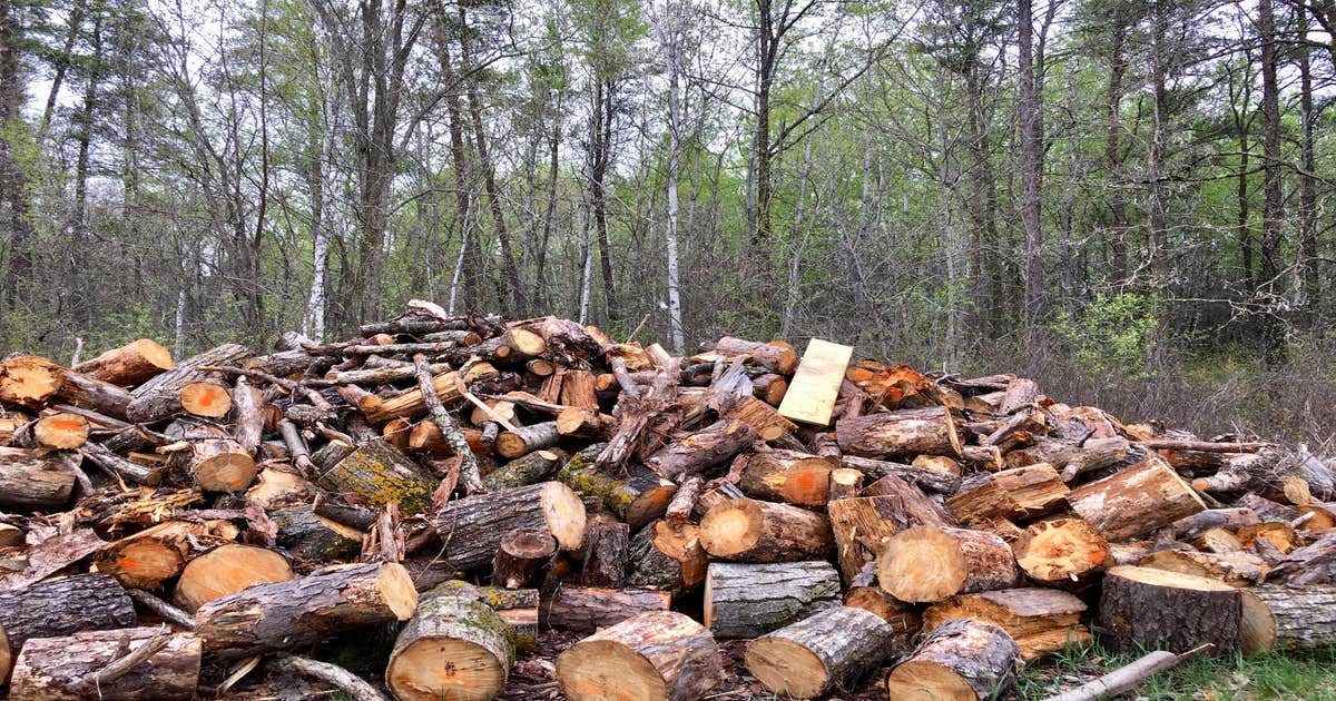 Frames Landing Campsite Sebeka, MN