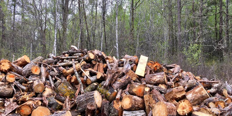 Camper submitted image from Frames Landing Campsite