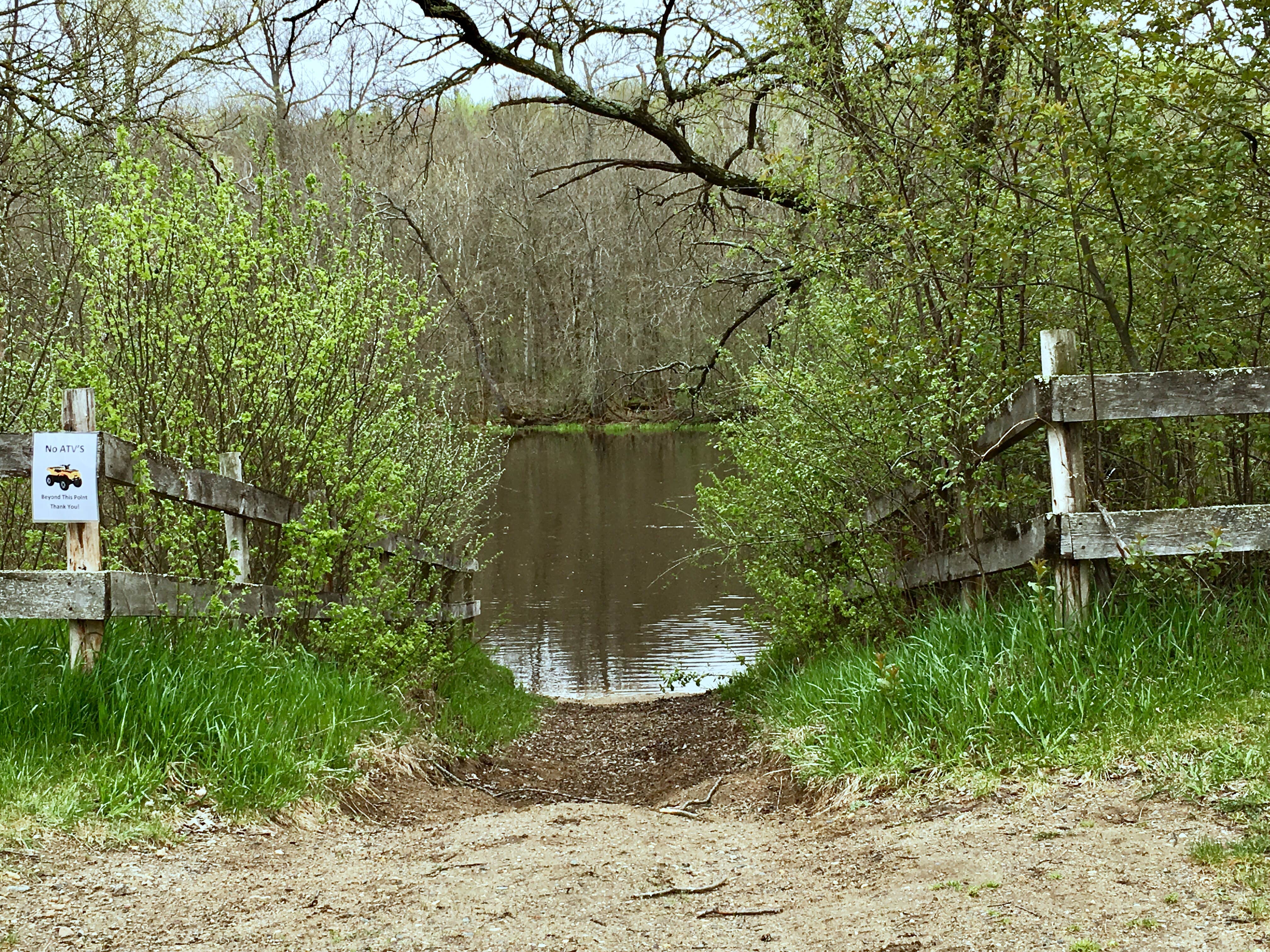 Camper submitted image from Frames Landing Campsite - 4