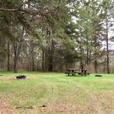 Review photo of Frames Landing Campsite by Janet R., June 9, 2019