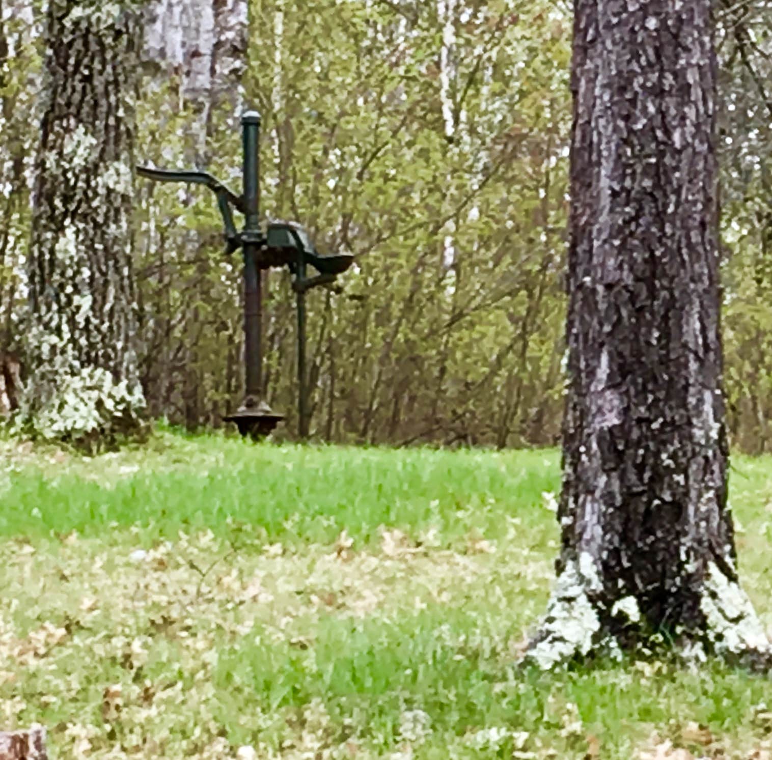 Camper-submitted photo at Andersons Crossing near Rochert, MN