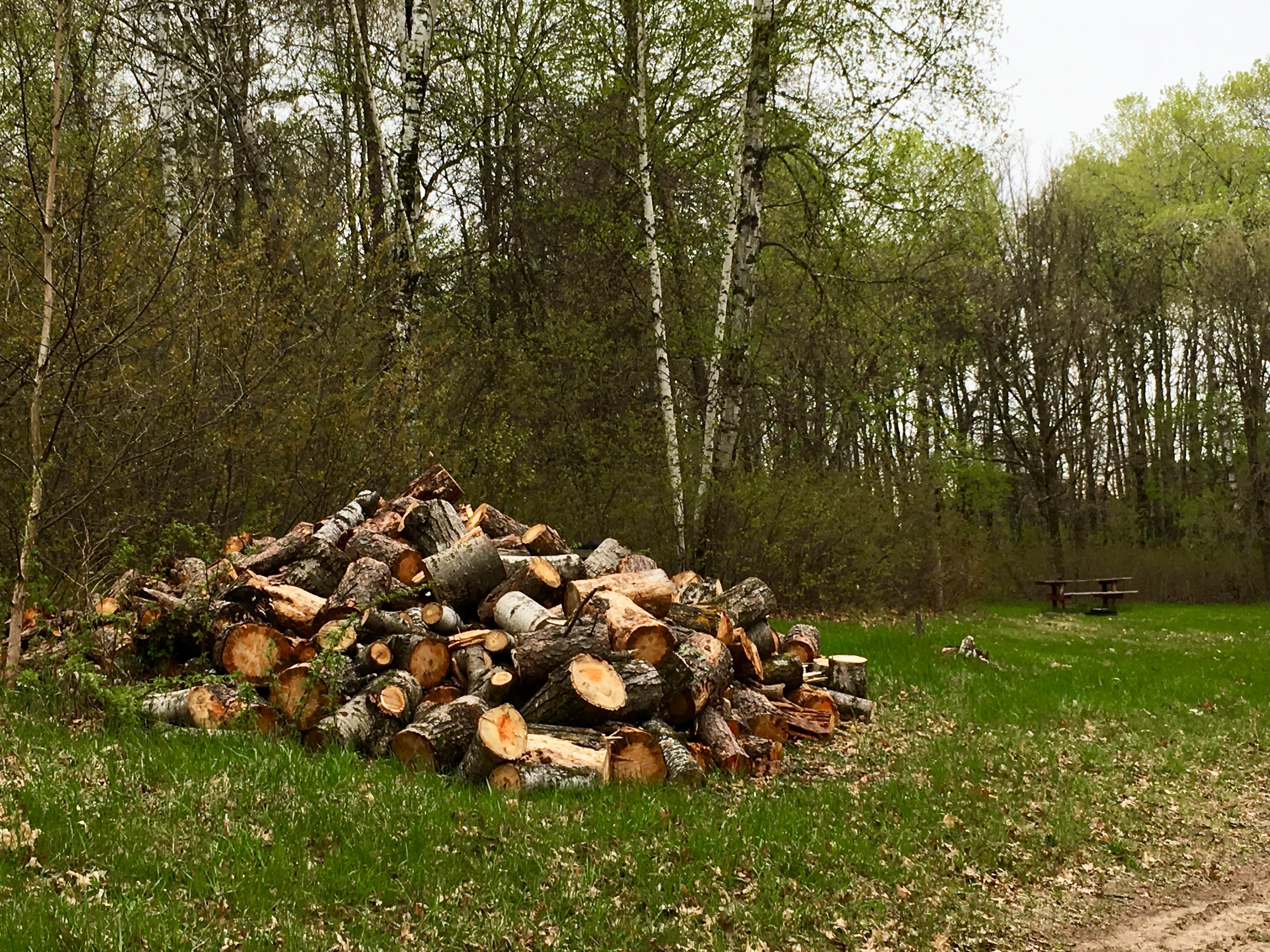 Camper-submitted photo at Andersons Crossing near Rochert, MN