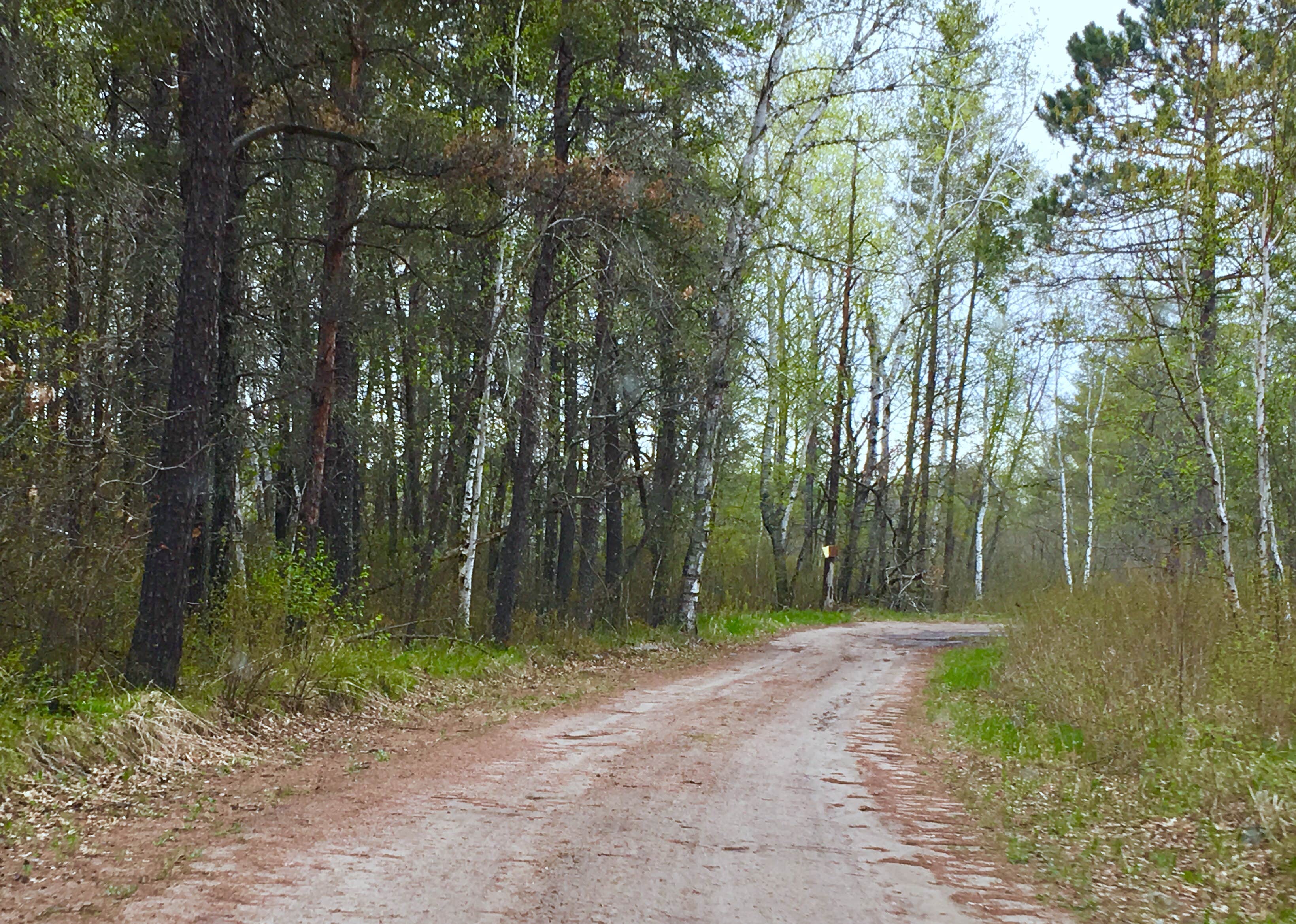 Camper submitted image from Andersons Crossing - 5