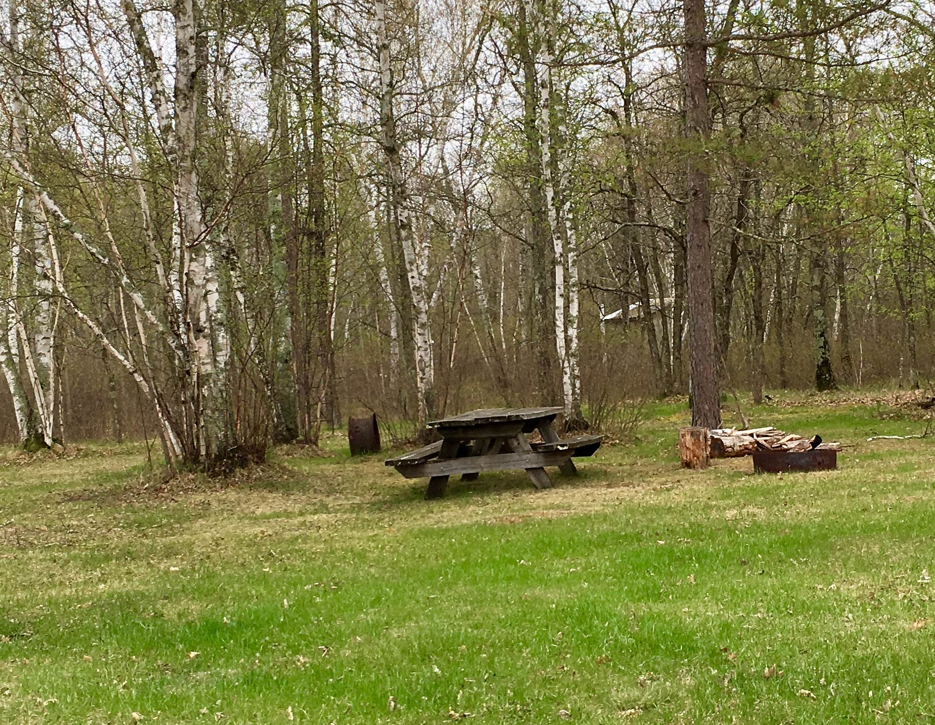 Camper-submitted photo at Huntersville Township near Park Rapids, MN