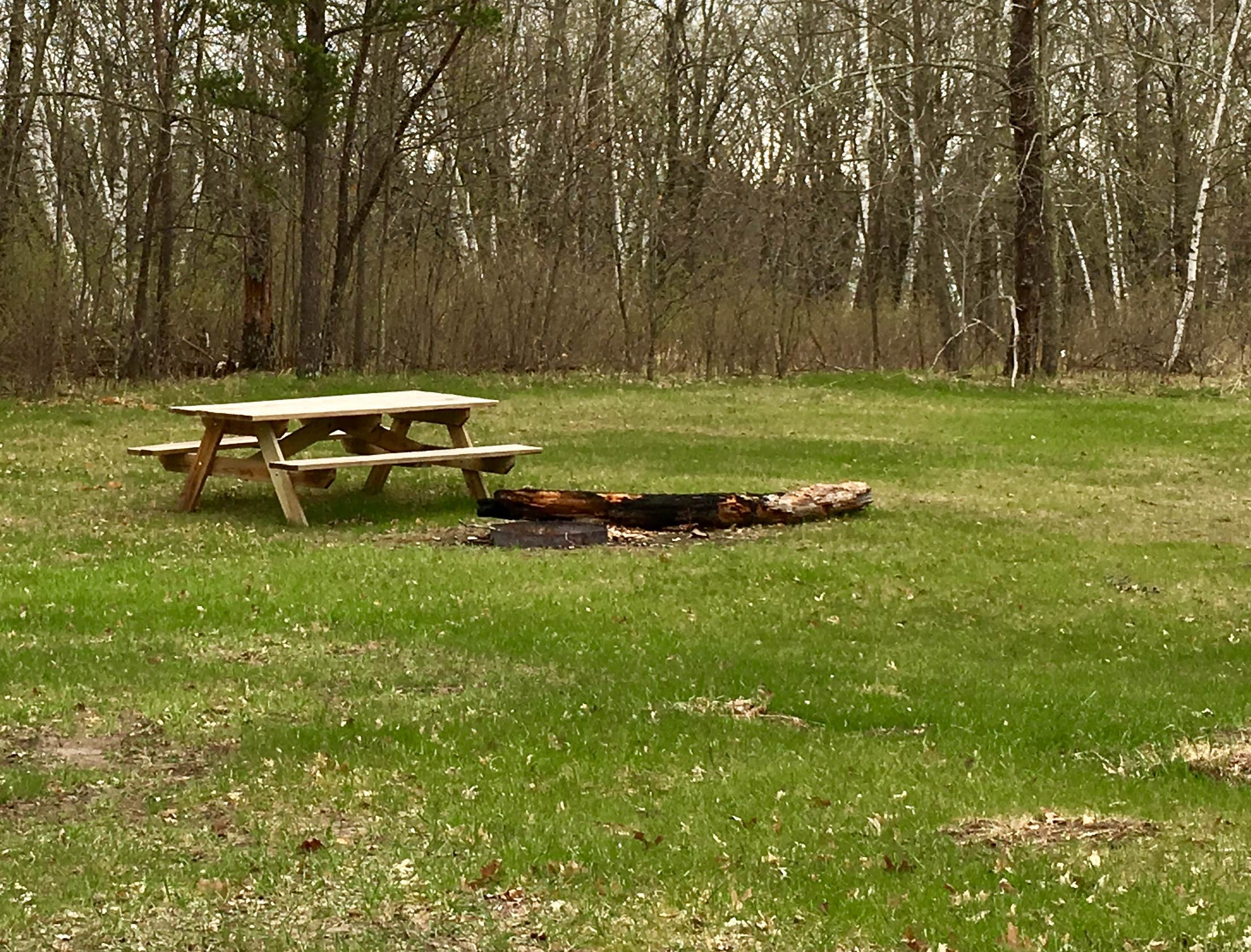 Camper-submitted photo at Huntersville Township near Park Rapids, MN