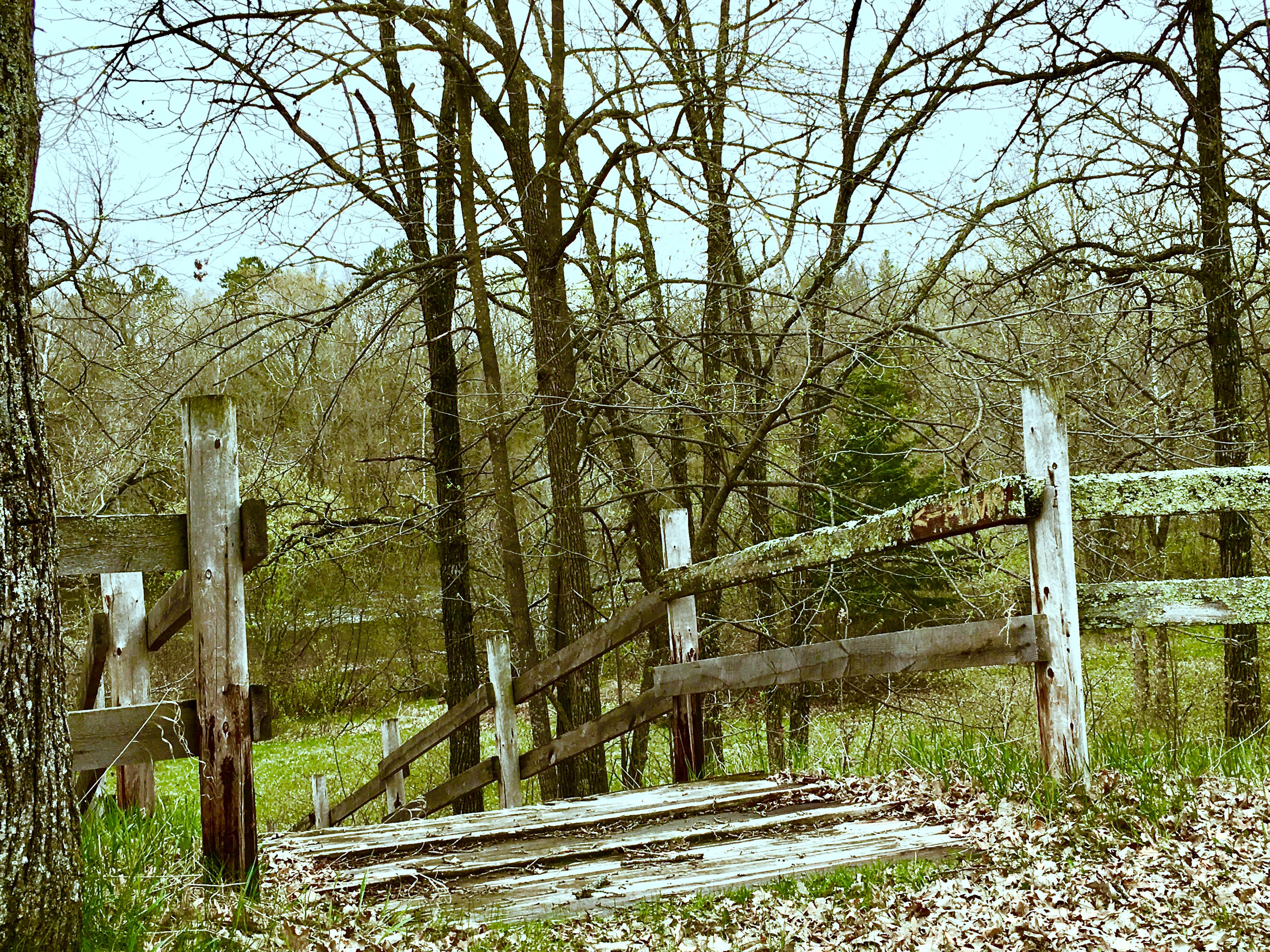Camper-submitted photo at Huntersville Township near Park Rapids, MN