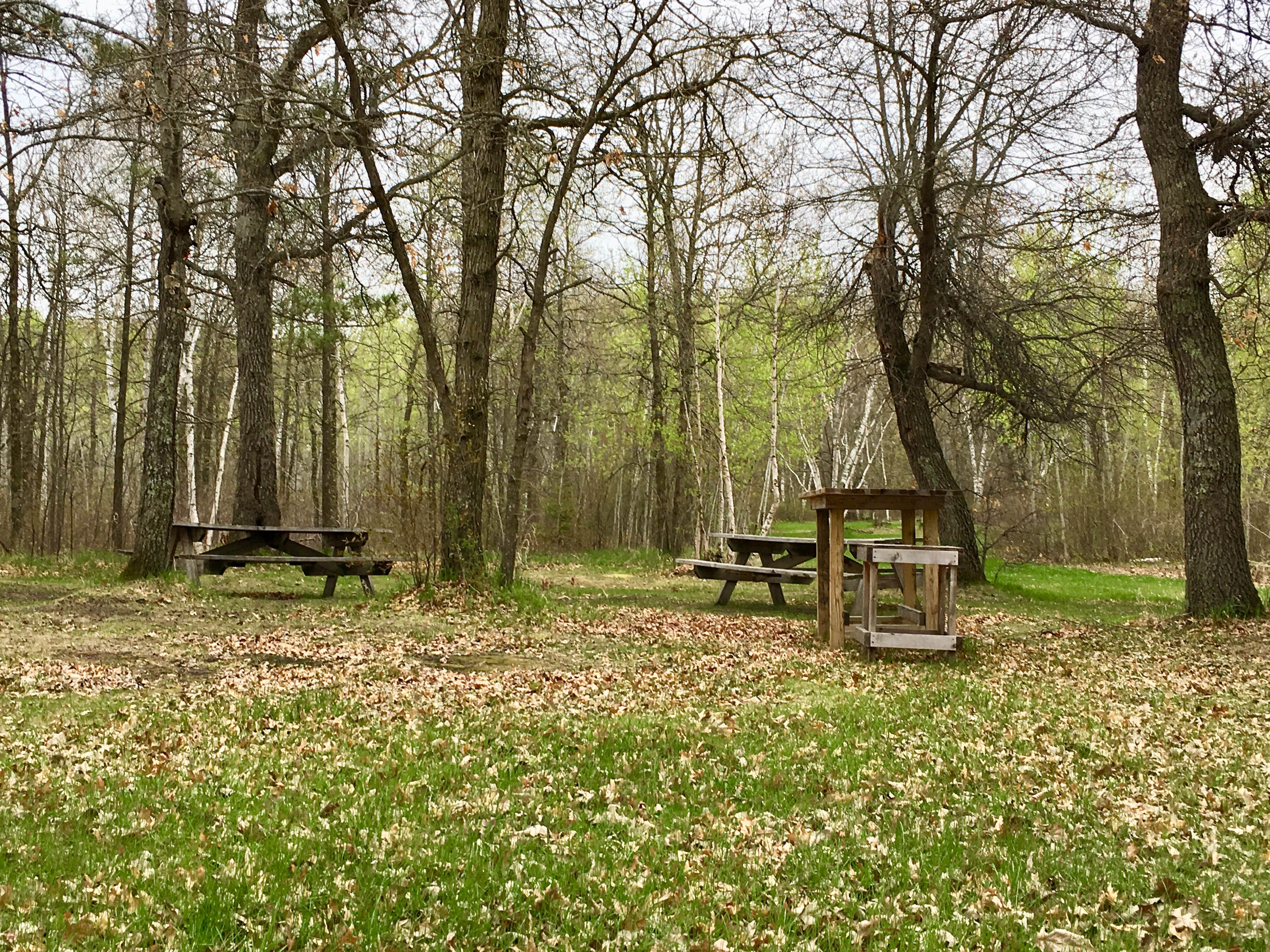 Camping near Huntersville Forest Landing: Huntersville Township, Horton, Minnesota