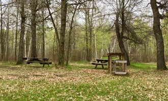 Camping near Shell City Landing: Huntersville Township, Horton, Minnesota
