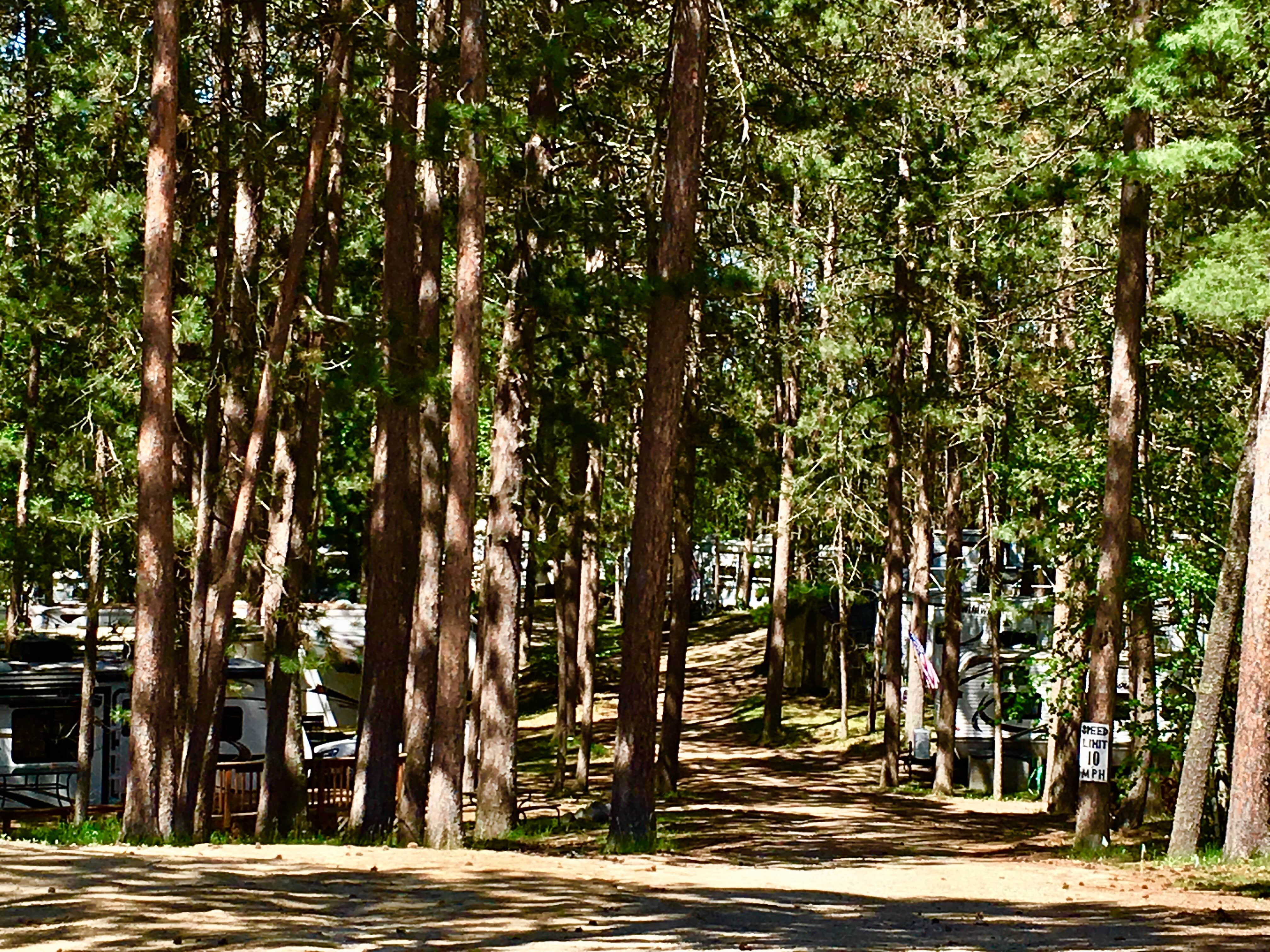 Camper-submitted photo at Breeze Campgrounds near Park Rapids, MN