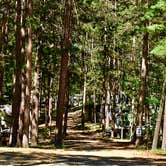 Review photo of Breeze Campgrounds by Janet R., June 9, 2019