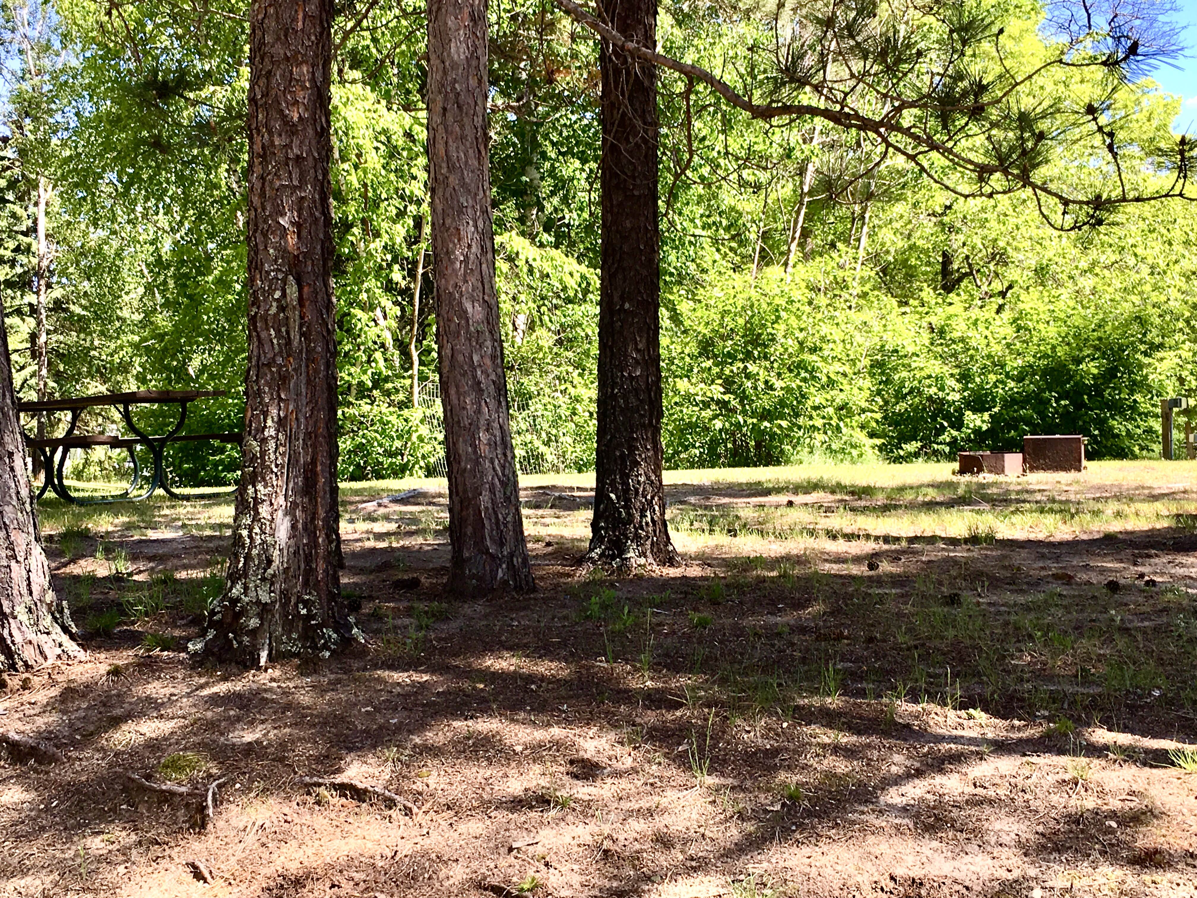 Camper-submitted photo at Breeze Campgrounds near Park Rapids, MN