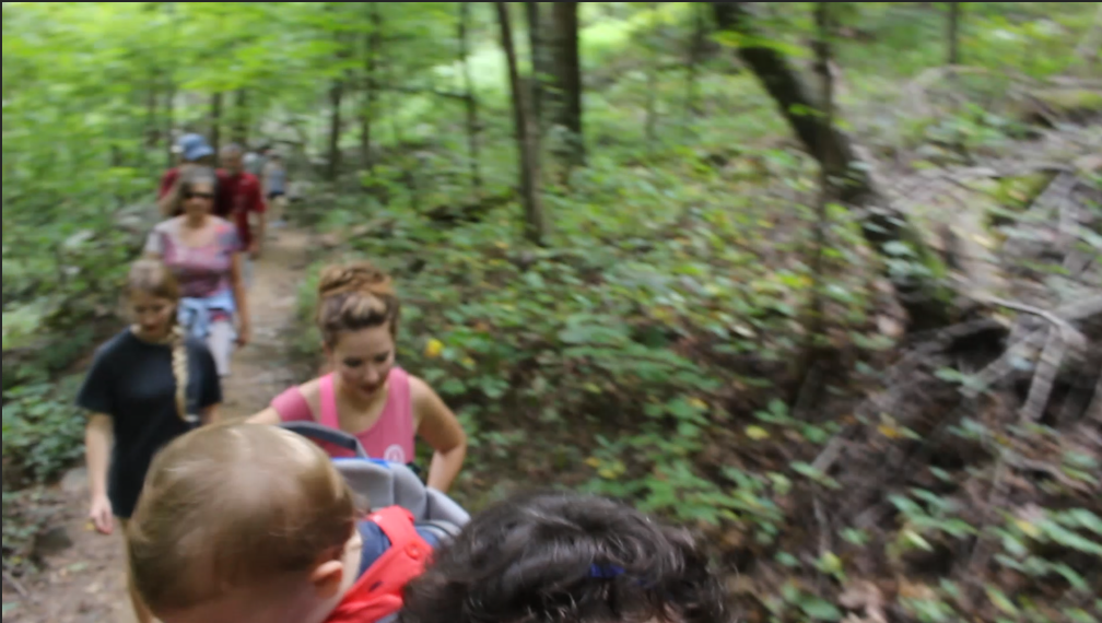 Camper submitted image from Meeman-Shelby Forest State Park - 5