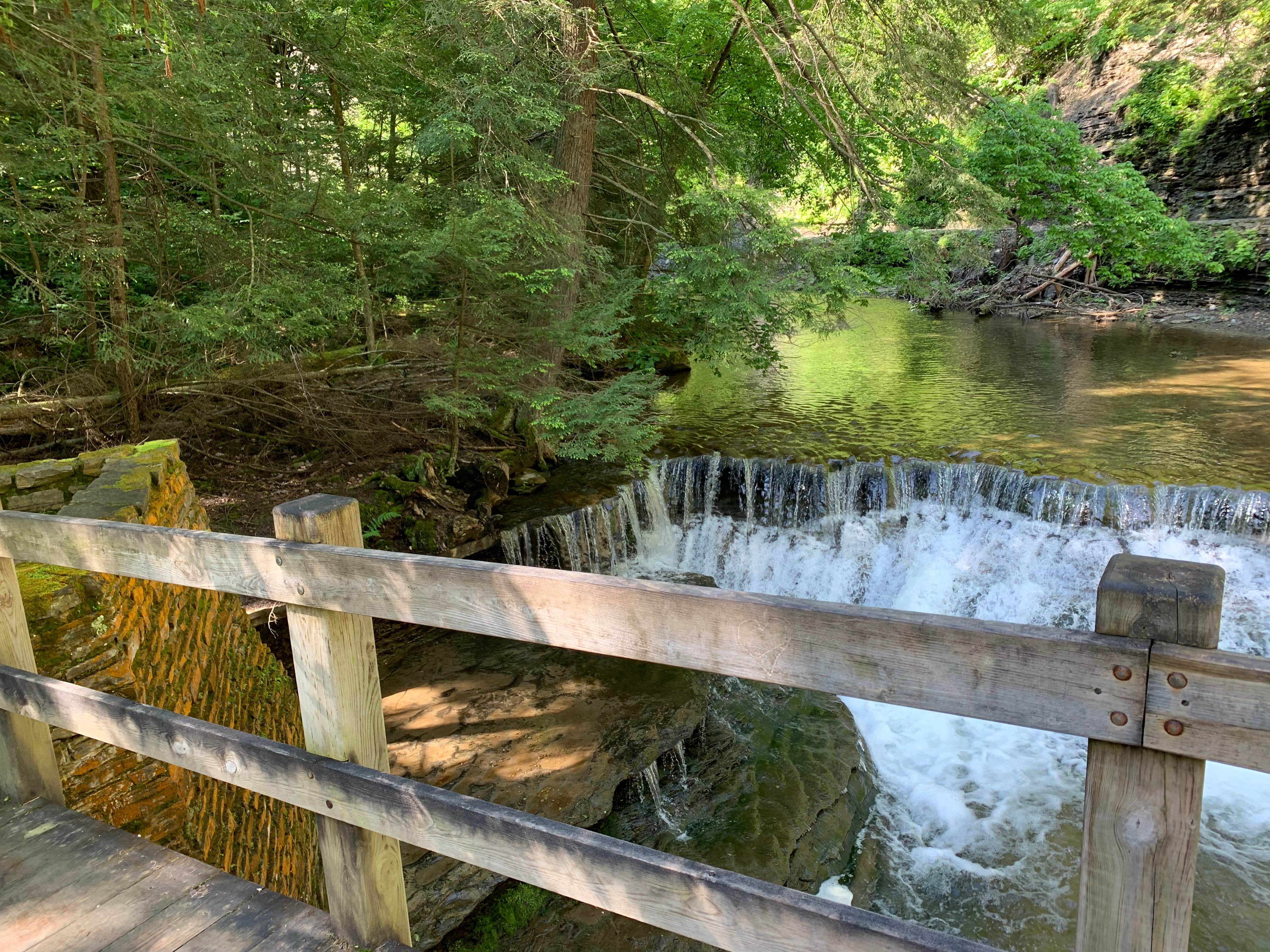 Camper-submitted photo at Stony Brook State Park Campground near Nunda, NY